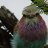 Michelle_757344