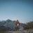 Sharif_a13591