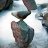 Max Werner_228d59