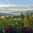 Michael_eeb602