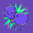 iris_cc834d