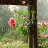 Anna_59af05