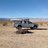 Panamint Reed