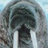TnWalrus