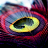 Krishnaprasad_0da189