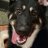 Quinten_17214e