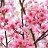 Elizabeth_85e370