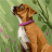 Arago_5e0271