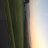 Tyler_6f8091