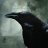 Ashley_834075