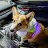 Brendan_b29813