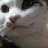 Amanda_e9bfb2