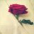 abdulwahab_72ff9d
