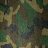 Claudiu_a025c8