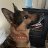 Kylie_778154