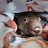 wombea_e9e02a