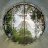 Carl_422a72