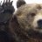 PooleBear