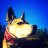 Westward_hound