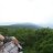 Bosc