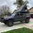 Wildebeest_Outdoors