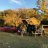World Renegade Overland