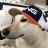 TheDogFather57