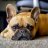 AdvTrailsAndFrenchies