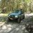Turtle off Road
