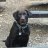 Ruger