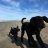 risuena_overland