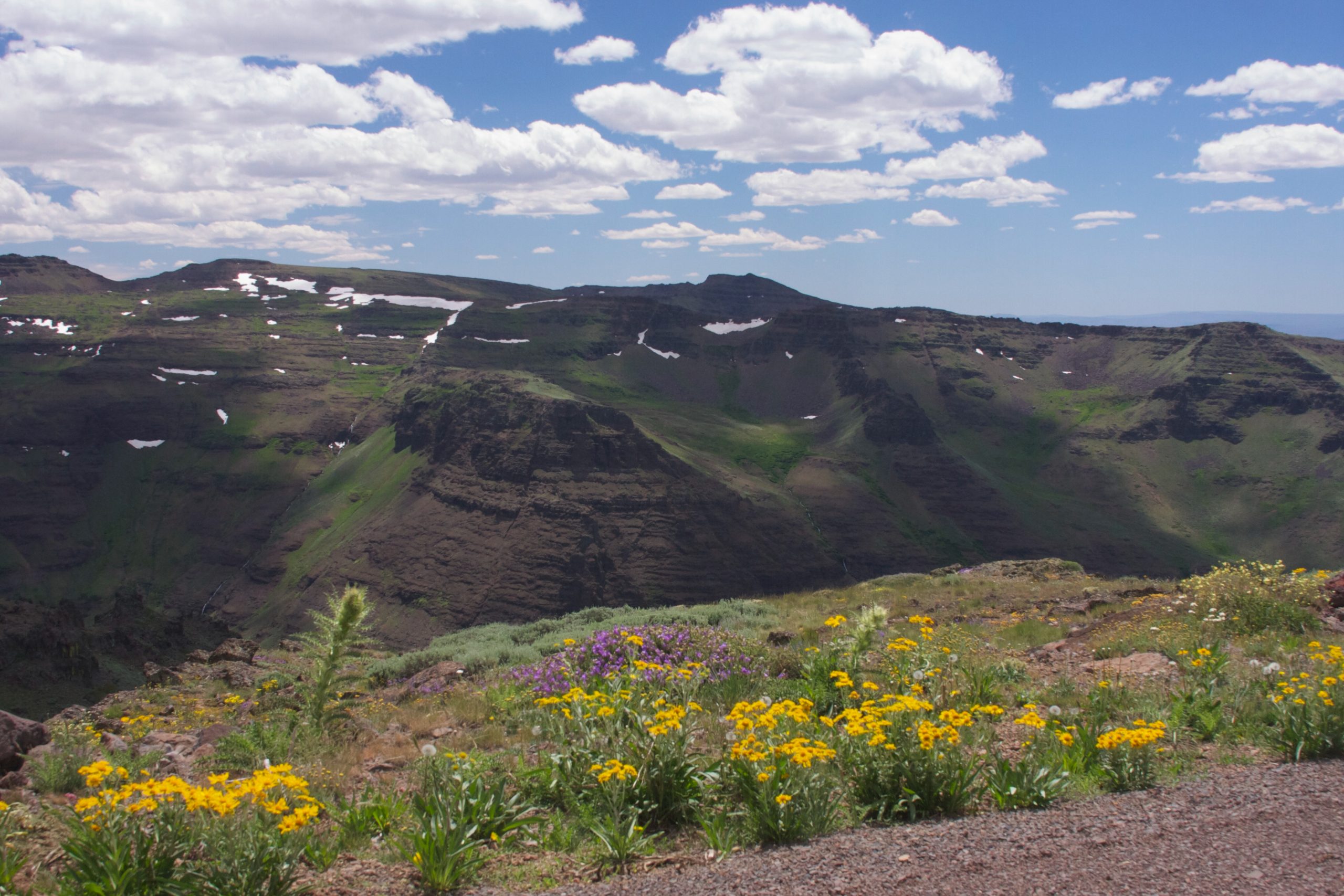 steens-jpg.299823
