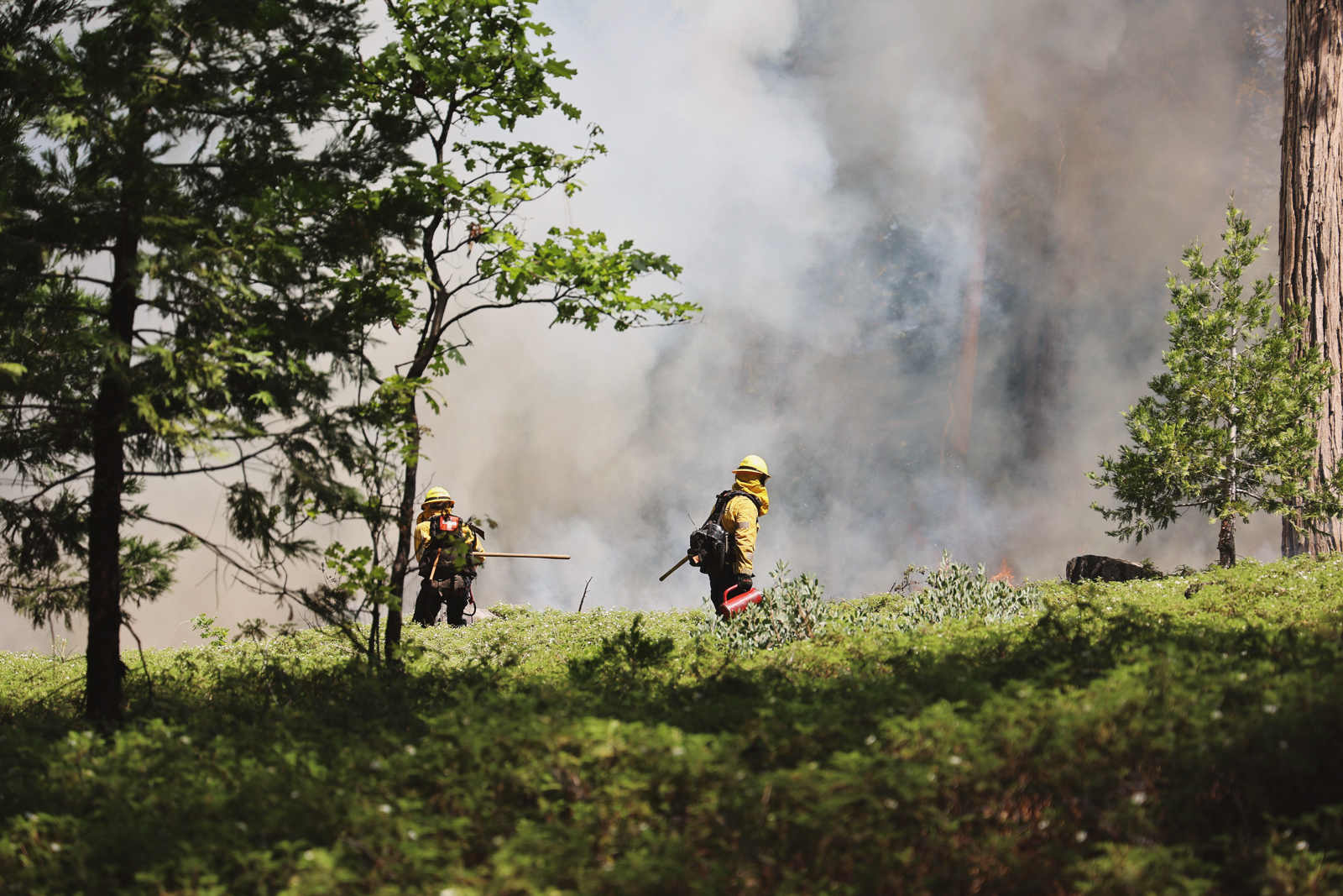 www.preventwildfireca.org