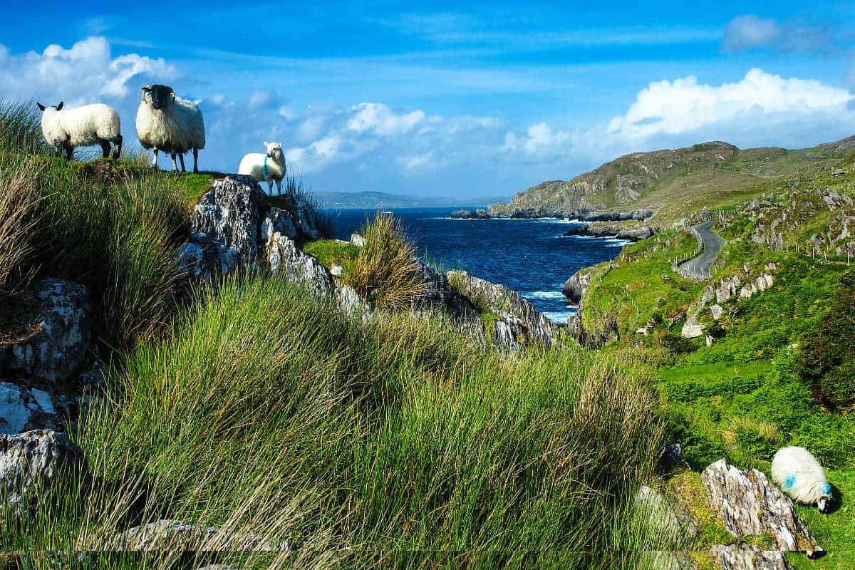 www.thewildatlanticway.com