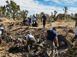 Mojave-Trail-Guardian-3