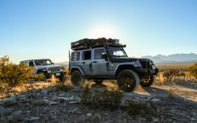 Wheeling in Big Bend National Park