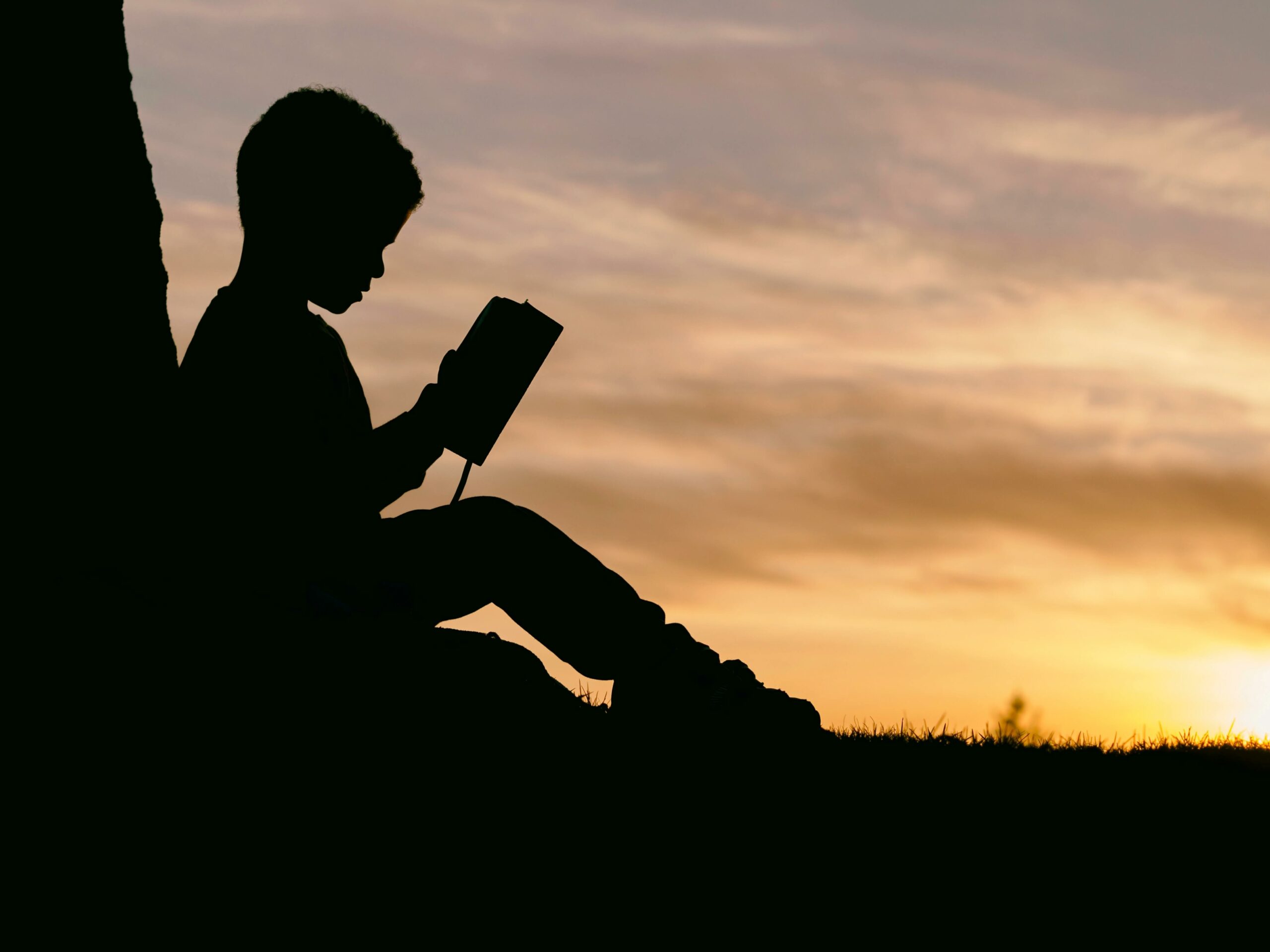 Silhouette of young boy reading against a tree at sunset