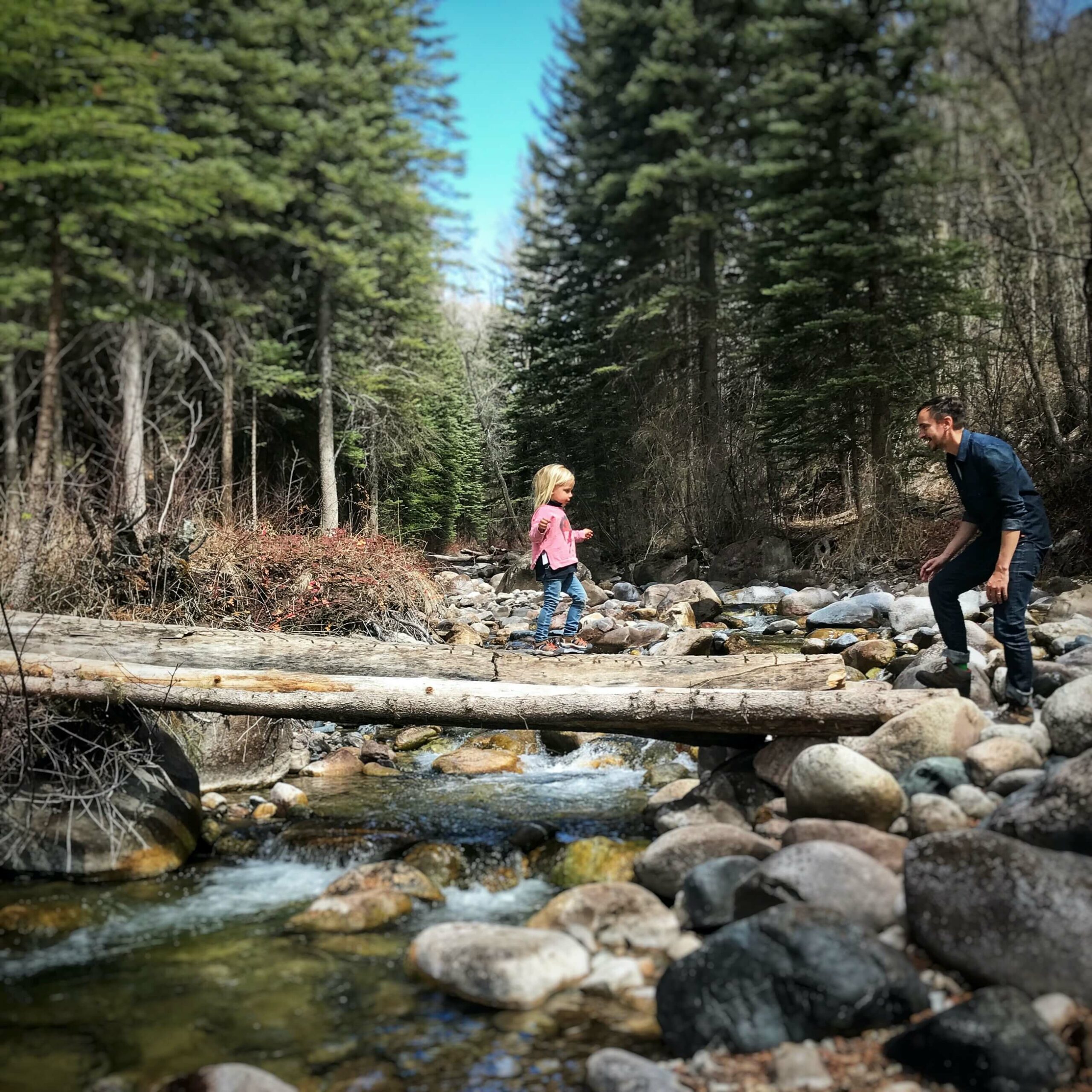 Little girl crossing a log over a creek in the forest with her father