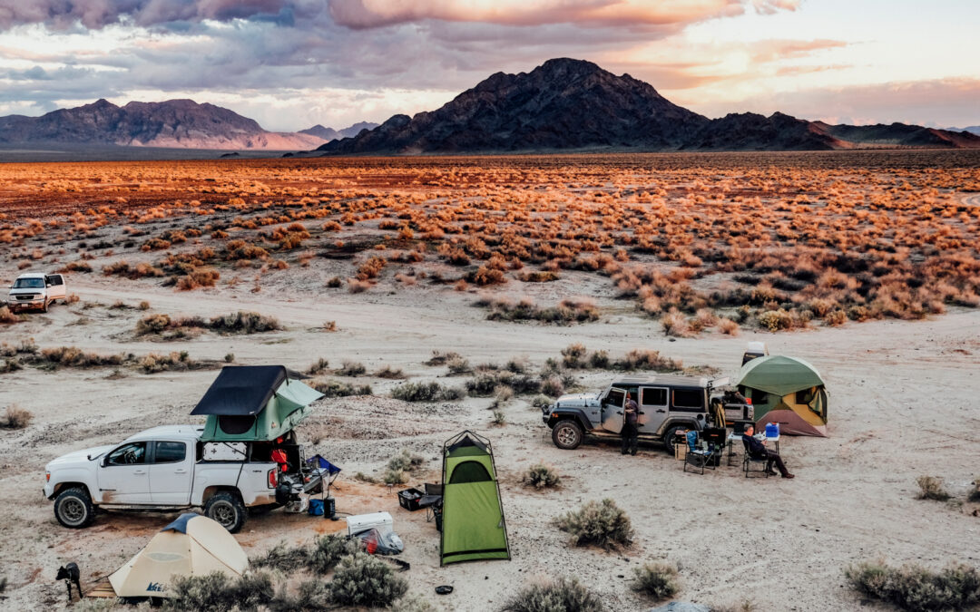 Vehicles in a desert with rooftop tents and ground tents